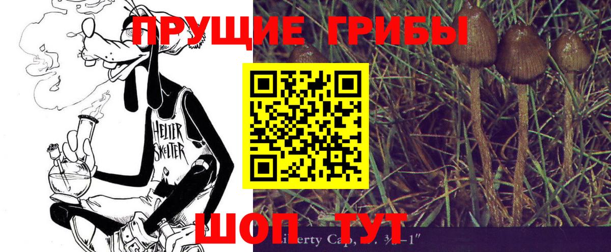 Галлюциногенные грибы Psilocybe  Галлюциногенные грибы Psilocybe  Сокол  Вход с VPN 