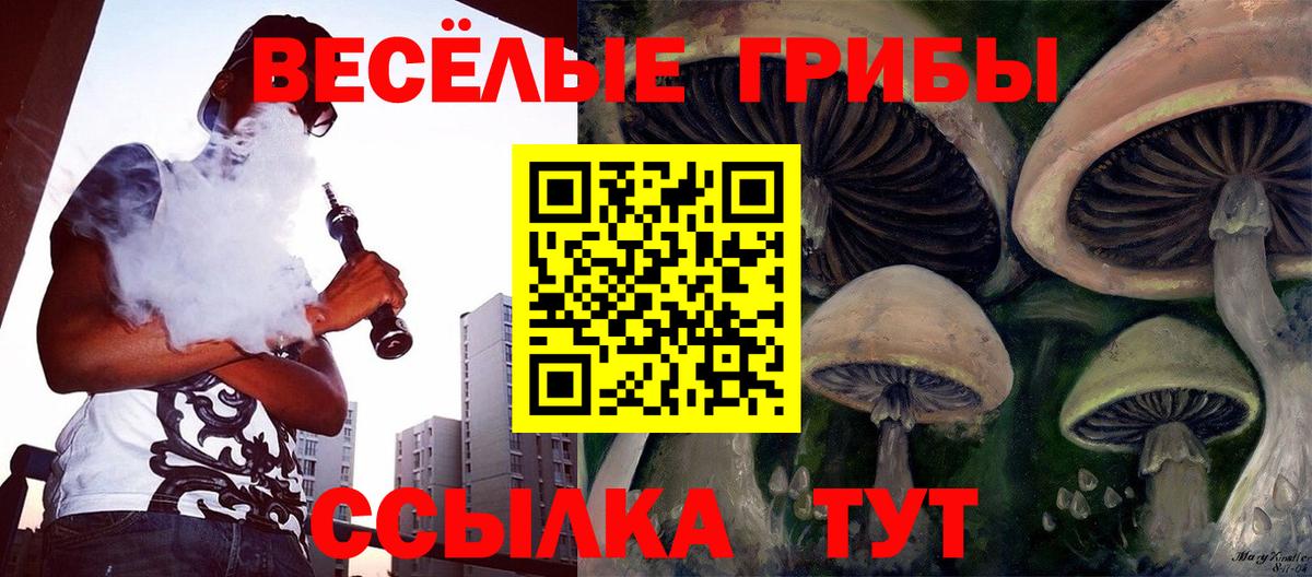 Галлюциногенные грибы Magic Shrooms Сокол